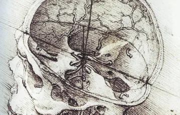 Leonardo da Vinci, przekrój przez czaszkę człowieka; ok. 1489 r. / Fot. drawingsofleonardo.org