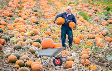 TOM HOGGARD, właściciel rodzinnej farmy Howe Bridge w Yorkshire, martwi się brakiem rąk do pracy. W najbliższych tygodniach, przed Halloween, musi zebrać ponad 50 tysięcy dyń. Wrzesień 2021 r. / Danny Lawson / PA / East News