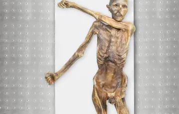 Oryginalna mumia Ötziego. Zwłoki znaleziono dokładnie w takiej pozycji jak na zdjęciu /  Muzeum Archeologiczne Południowego Tyrolu 