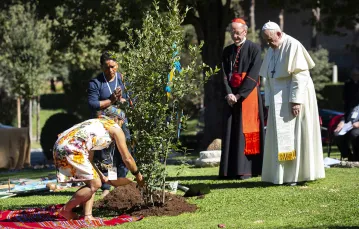 Zasadzenie dębu w ogrodach watykańskich z okazji Święta Stworzenia i Synodu Amazońskiego, październik 2019 r. // Fot. Antoine Mekary / Godong / East News