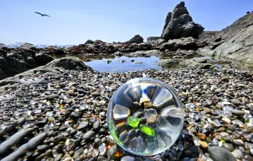 Plaża Glass nad Oceanem Spokojnym w Fort Bragg. Kalifornia, Stany Zjednoczone, 1 czerwca 2023 r. / fot. Tayfun Coskun / Anadolu Agency / Getty Images