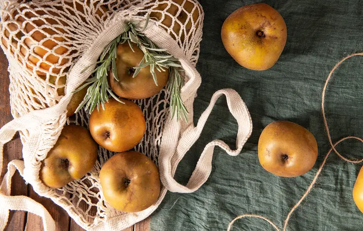 Fot. Anammarques / Adobe Stock