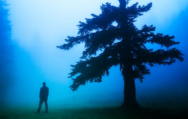  // Fot. kofana12 / Shutterstock