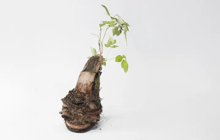 Termin ekopoetyka może obejmować wiele praktyk kulturowych - to doświadczenie wspólnotowego działania w sytuacji kryzysu. Na zdjęciu: Praca Diany Lelonek z serii: „Centrum Żywych Istot”, 2016 r. // Fot. Diana Lelonek / materiały prasowe