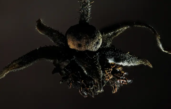 // Fot. Urszula Zajączkowska