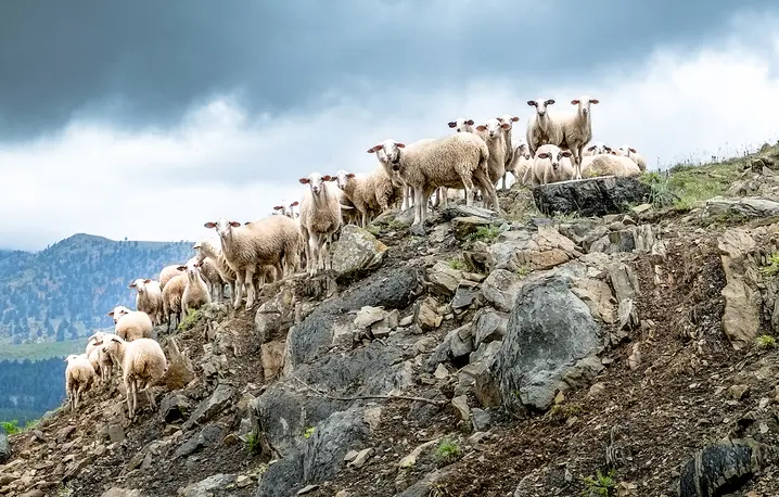 // Fot. Ntoumas Antonios / Shutterstock