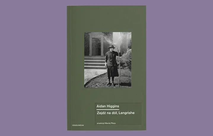 Aidan Higgins Zejdź na dół, Langrishe, przekład Maciej Płaza // Wydawnictwo Ossolineum 