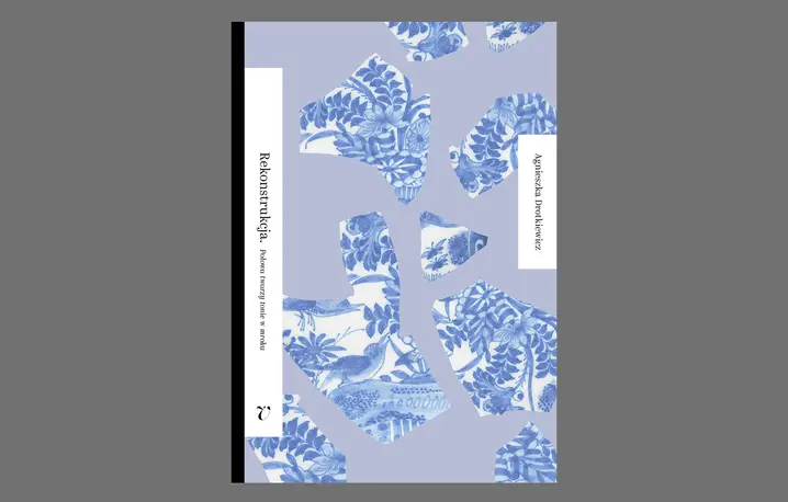 Agnieszka Drotkiewicz, REKONSTRUKCJA. POŁOWA TWARZY TONIE W MROKU, Osnova // materiały prasowe