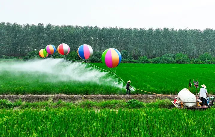 Balony wodorowe do opryskiwania pestycydami pól ryżowych w Suqian w prowincji Jiangsu w Chinach, 21 sierpnia 2024 r. // Fot. CFOTO / Future Publishing / Getty Images