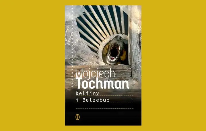 Wojciech Tochman, Delfiny i Belzebub, Wydawnictwo Literackie, Kraków 2026 // materiały prasowe