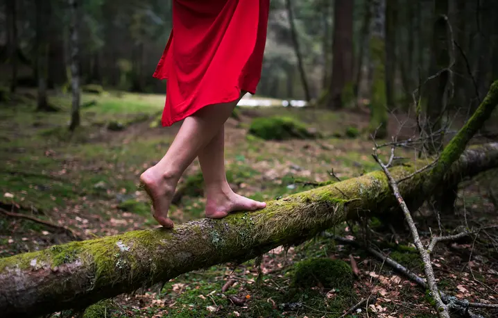 // Fot. Nico.Stock / Shutterstock