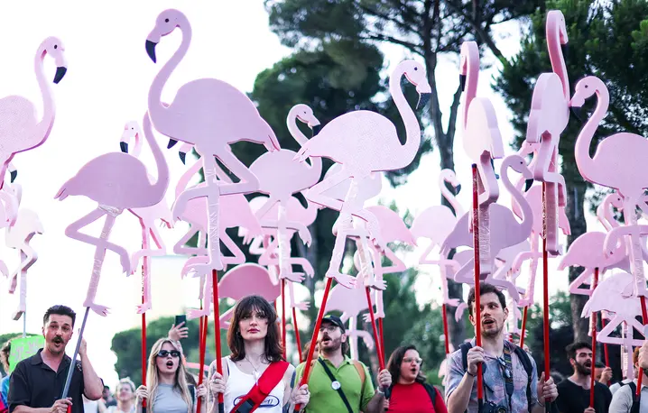 Symbolem protestów w Albanii stały się flamingi, żyjące w delcie Vjosa-Narta. Premier Edi Rama zgodził się ograniczyć status ochronny delty, aby umożliwić tam budowę luksusowego kurortu przez rodzinę prezydenta Donalda Trumpa. Tirana, 17 czerwca 2026 r. // Fot. Florion Goga / Reuters / Forum