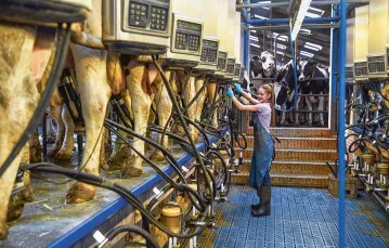 Dojenie krów na farmie w Oberheckenbach. Niemcy, kwiecień 2021 r. / SEPP SPIEGL / ZUMA PRESS / FORUM