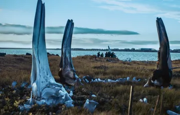 Kadr z filmu „Wieloryb z Lorino” / KFF / MATERIAŁY PRASOWE
