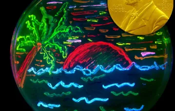 Obrazek namalowany w szalce laboratoryjnej koloniami bakterii świecących na różne kolory dzięki białkom otrzymanym na bazie białka GFP /fot. Andrew Hires / wikipedia / GNU / 