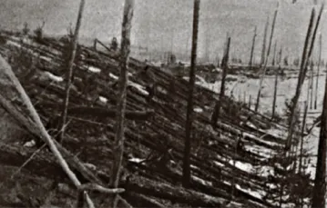 Drzewa powalone katastrofą tunguską. Zdjęcie ekspedycji Leonida Kulika, 1927 r. / 