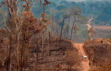 Spalony fragment Puszczy Amazońskiej w stanie Rondônia, Brazylia, 25 sierpnia 2019 r. / JOEDSON ALVES / EFE / FORUM