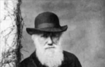Karol Darwin / 
