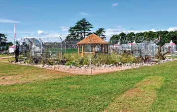 Ogród Toma Masseya nawiązujący do kryzysu migracyjnego, Hampton Court, Londyn, 2016 r. / WICEK SOSNA