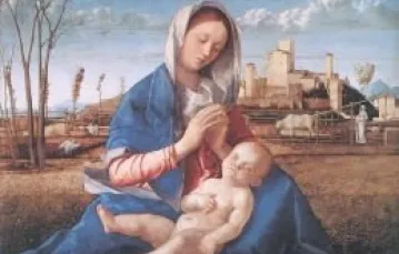 Giovanni Bellini "Madonna del prato", 1505 / 