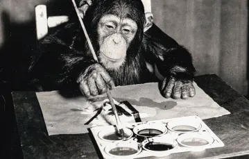 Szympans Congo maluje obraz w londyńskim zoo. 1958 r. /  / WORLD HISTORY ARCHIVE / B&EW