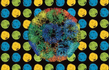 Wizualizacja klatki białkowej, stworzona przez zespół prof. Jonathana Heddle'a. / MATERIAŁY PRASOWE