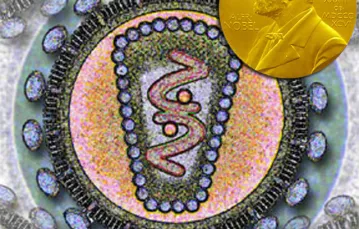 Komputerowy obraz przekroju przez wirus HIV /fot. Los Alamos National Laboratory / 