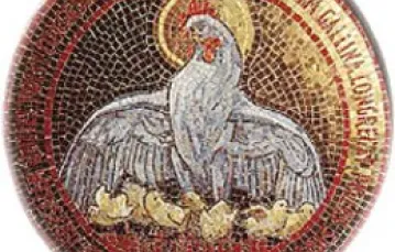 "Jak kura swe pisklęta zbiera pod skrzydła..." - mozaika z kaplicy "Dominus flevit" na stokach Góry Oliwnej / 