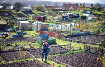 Ogródki działkowe w miasteczku Berwick-upon-Tweed w północnej Anglii, marzec 2021 r. /  / JEFF J. MITCHELL / GETTY IMAGES