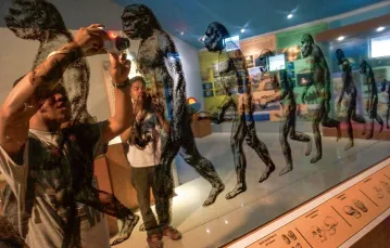 Ekspozycja w muzeum Sangiran, Jawa, listopad 2014 r. / AGOES RUDIANTO / ANADOLU AGENCY / GETTY IMAGES