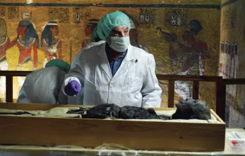 Pobieranie próbek DNA z mumii członków rodziny Tutanchamona / fot. Discovery World / 