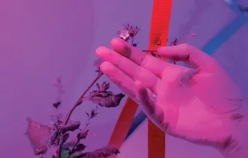 Cyrus Clarke, Monika Seyfried, „Grow Your Own Cloud”. Instalacja Ogród Danych, SXSW 2020 (fragment) / 