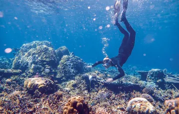 Ustawianie hydrofonu na rafie koralowej w Sulawesi, Indonezja. Czerwiec 2019 r. / TIM LAMONT / UNIVERSITY OF EXETER