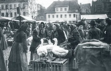 Targ w Poznaniu, rok 1910. / HAECKEL ARCHIV / BEW