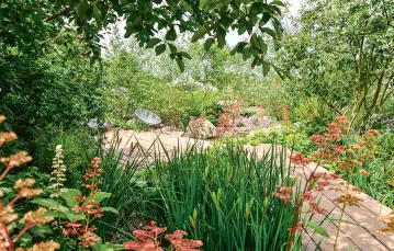 „Dziś trzeba dobierać rośliny, które radzą sobie w warunkach suchego gorącego lata i długiej wilgotnej zimy”.  Na zdjęciu: jeden z ogrodów prezentowanych w Hampton Court, lipiec 2021 r. / WICEK SOSNA