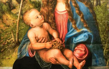 Lucas Cranach starszy „Madonna pod jodłami”, ok. 1510 r. / ZE ZBIORÓW MUZEUM ARCHIDIECEZJALNEGO WE WROCŁAWIU