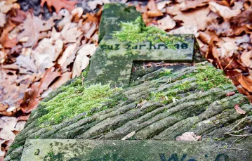 Płyta nagrobna na przedwojennym cmentarzu ewangelickim. Kadyny, 2020 r. / STANISŁAW BIELSKI / REPORTER