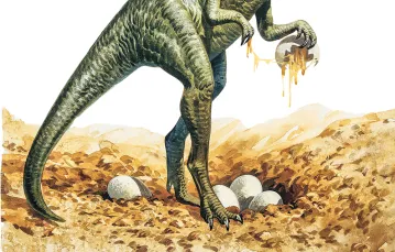 Reputacja złodzieja jaj ciągnęła się za owiraptorem przez większość XX w. Dzisiaj wiemy, że ten dinozaur dbał o własne potomstwo, a jego górne kończyny porastały pióra. / / DEAGOSTINI / UIG / EAST NEWS