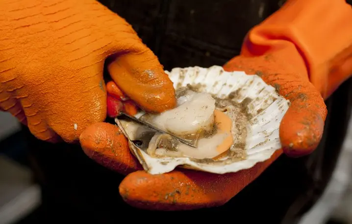 Fot. Andrew Hasson / Rex Features / EASTNEWS