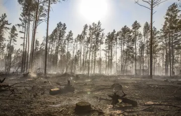 Pożar lasu na granicy powiatów łomżyńskiego i kolneńskiego, kwiecień 2019 r. / Fot. Marek Maliszewski / Reporter / East News / 