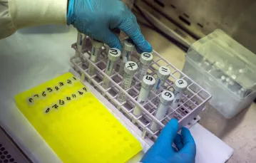 Sekwencjonowanie próbek wirusa w Ndlovu Research Center w Elandsdoorn. RPA, 8 grudnia 2021 / AP/Associated Press/East News / 