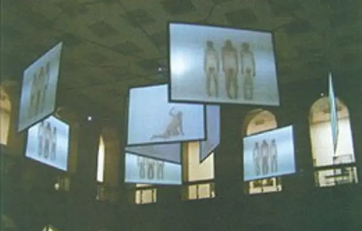 Katarzyna Kozyra, "Święto wiosny", wideoinstalacja, 1999-2002, widok ogólny / 