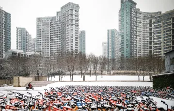 Pod wypożyczalnią rowerów, Pekin, 5 lutego 2019 r. / CARLOS GARCIA RAWLINS / Reuters / Forum