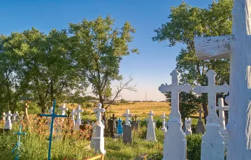 Cmentarz w Baryszu, czerwiec 2019 r. / ANNA WYLEGAŁA