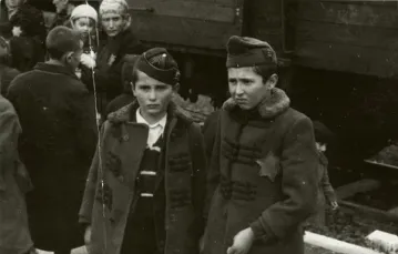 Bracia Zelig Jacob (po lewej) i Sril Israel Jacob na rampie w Auschwitz. Druga połowa 1944 r. / Fot. Yad Vashem Photo Archive