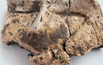 Fragment neolitycznej ceramiki z przedstawieniem twarzy znaleziony przez zespół dr Magdaleny Moskal-del Hoyo w Biskupicach koło Wieliczki / fot. Adam Walanus dla TP
