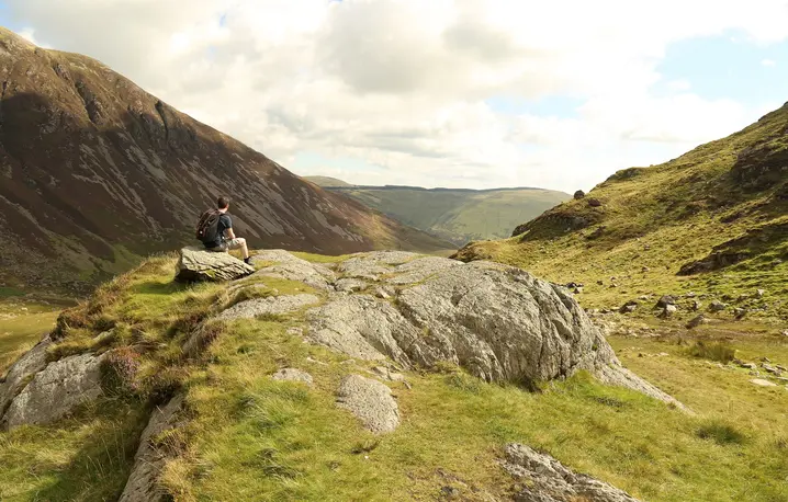 Fot. Sophie Higginbottom / Unsplash (d)