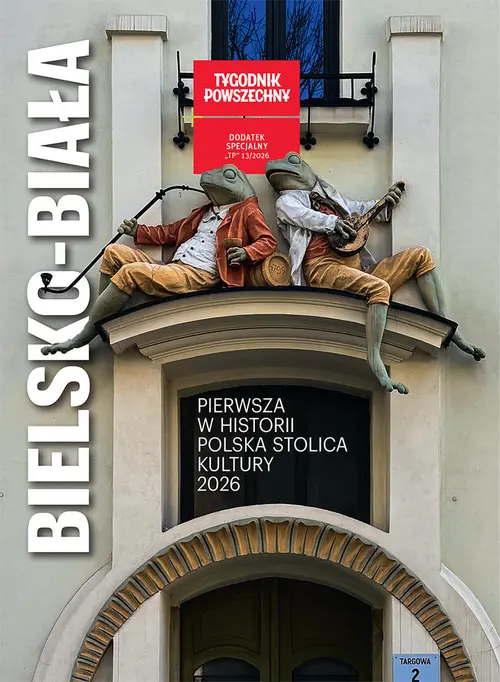 Na okładce fragment bramy wejściowej secesyjnej kamienicy „Pod Żabami”, zbudowanej w 1903 r. // fot. Jakub Dodek / Archiwum UM Bielsko-Biała