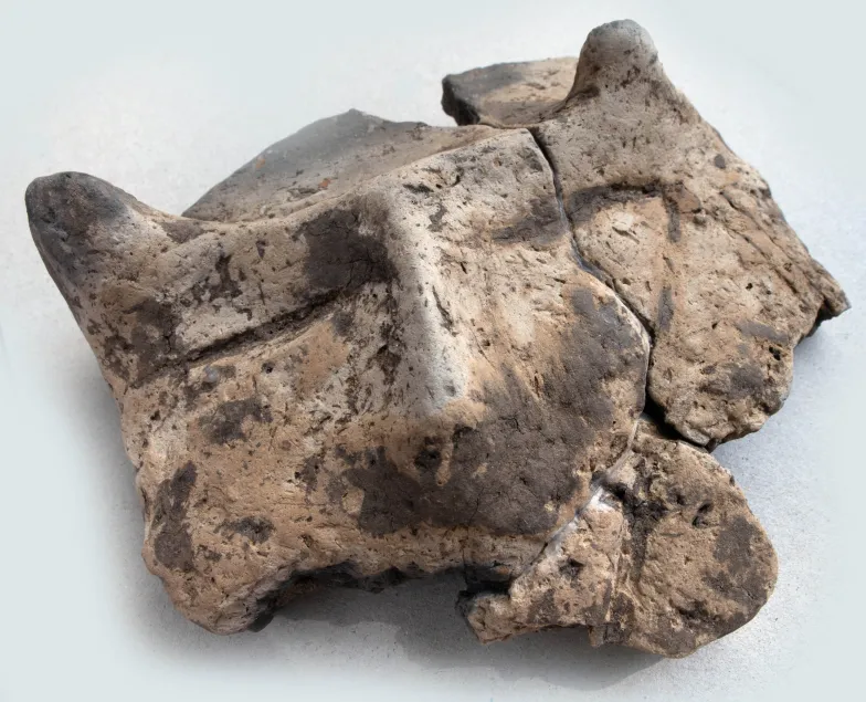 Fragment neolitycznej ceramiki z przedstawieniem twarzy znaleziony przez zespół dr Magdaleny Moskal-del Hoyo w Biskupicach koło Wieliczki / fot. Adam Walanus dla TP