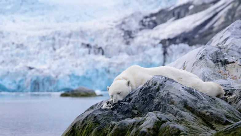 Spitsbergen / fot. Kacper Wojtysiak